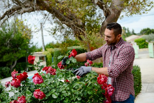 Gardener working in a Brockley garden with tools and plants
