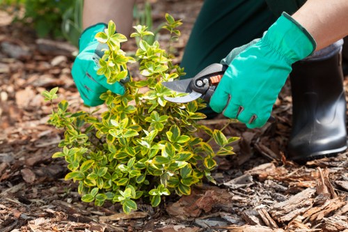 Team of gardeners following safety procedures