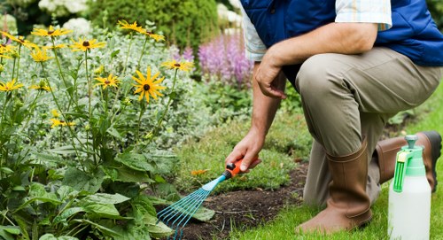 Gardening team preparing for a large clearance