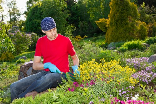 Close-up of hands planting seedlings in a Brockley garden