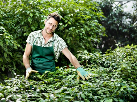 Volunteer sorting garden waste into labelled recycling containers