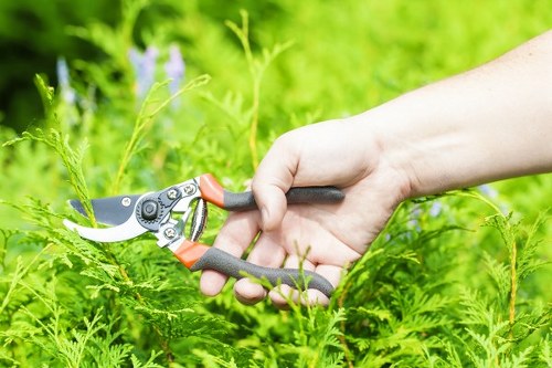 Worker inspecting gardening equipment